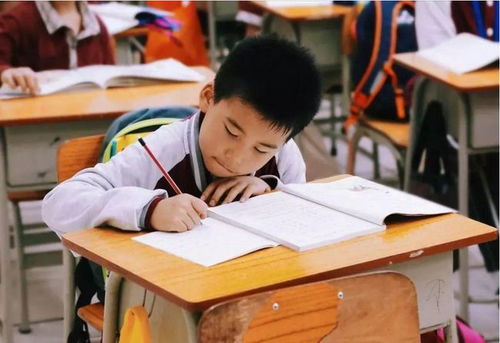 江蘇全面啟動課后服務與家庭教育咨詢，為家長減負解憂